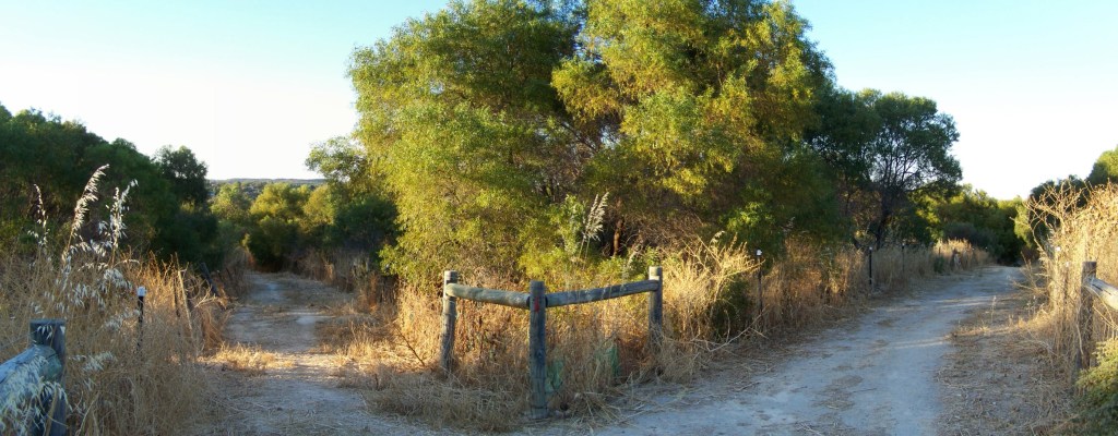 The Wide and Narrow Gates (Matthew&nbsp;7:13-14)