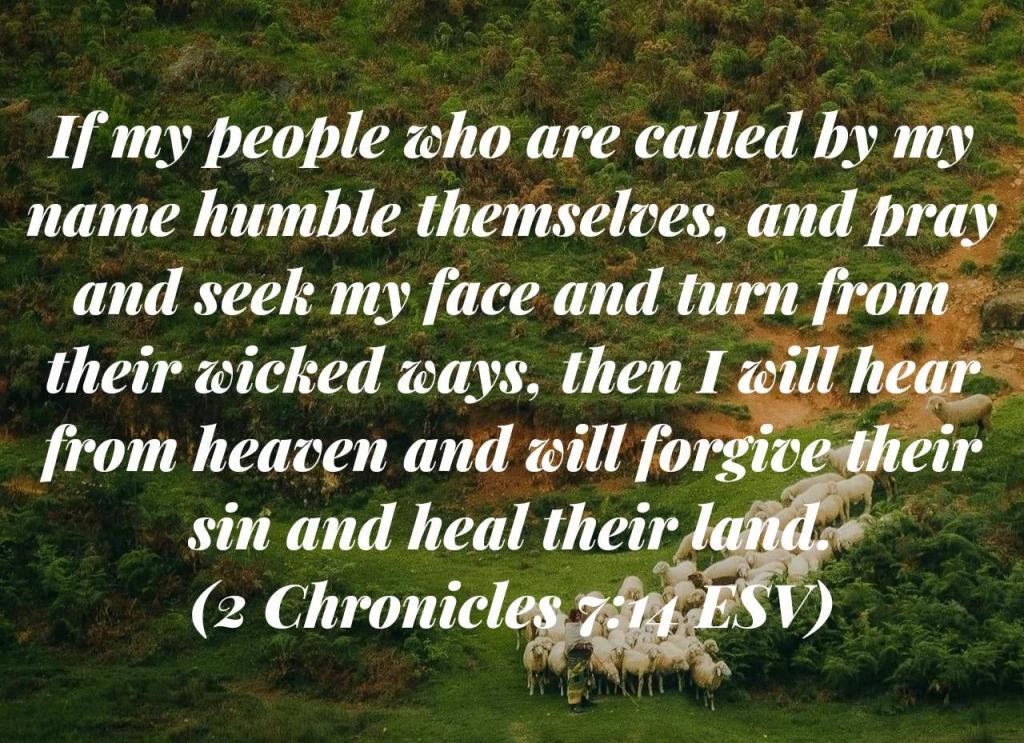 Christians, Elections, Church, State, and&nbsp;Culture